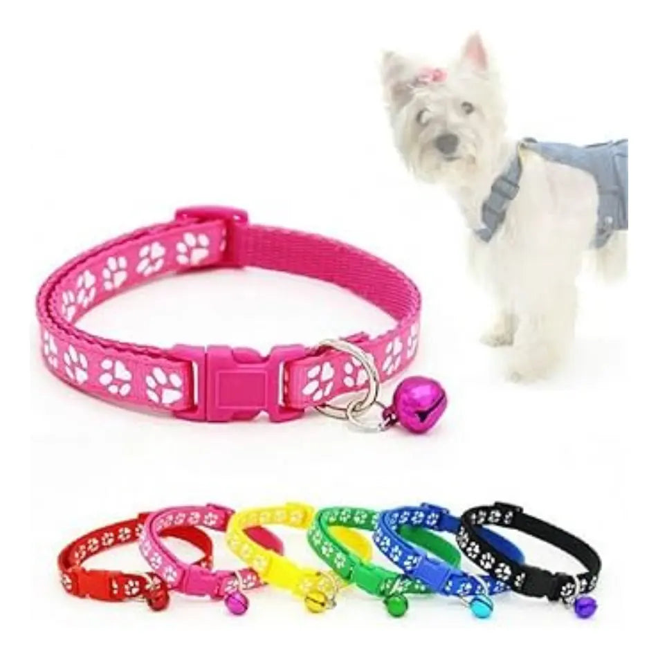 Collar Correa Para Mascota Gato Perro Ajustable Con Cascabel