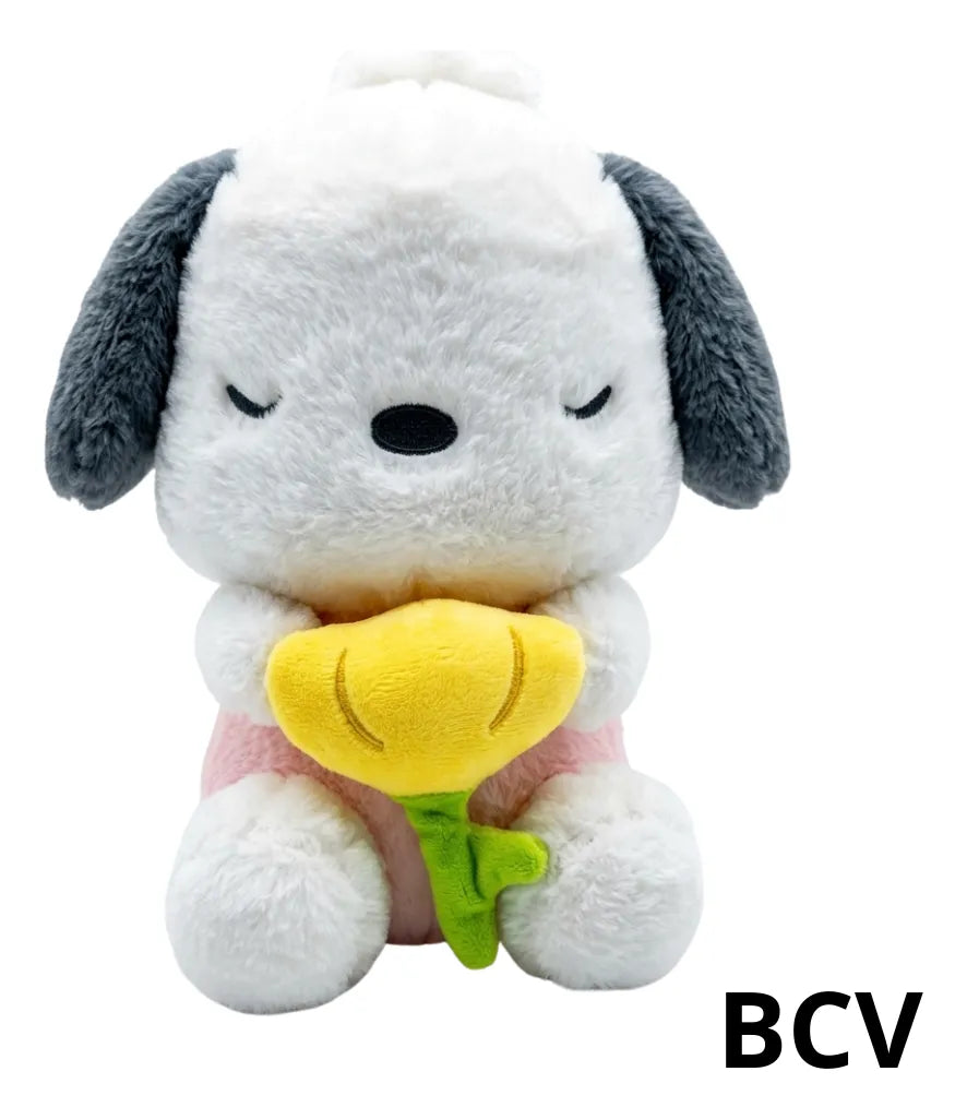 Peluche Afelpado Pochaco Detalle Muñeco 25cm Premium Kawaii