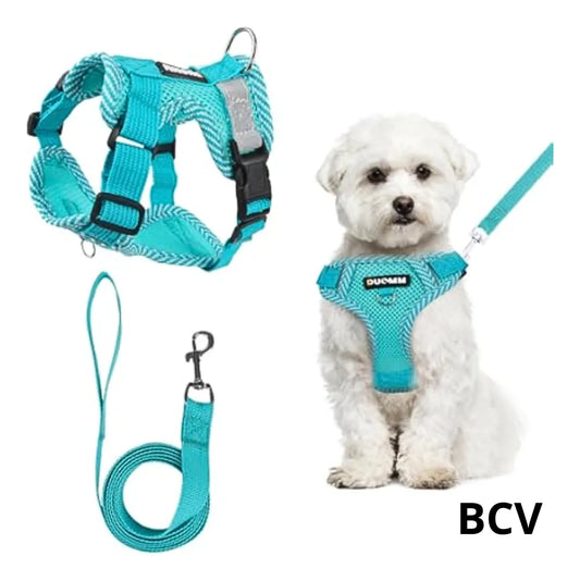 Pechera Arnes Correa Mascota Gato Perro Ajustable Paseador