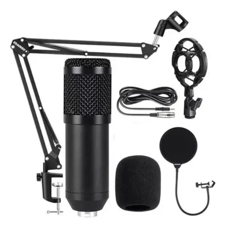 Micrófono Profesional Condensador Bm-800 Brazo Extensible